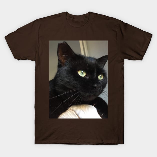 Crockett the cat T-Shirt by AHelene